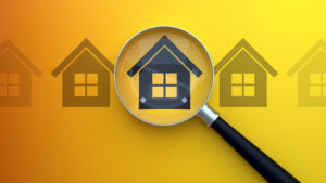 Indoor Air Quality Inspection
